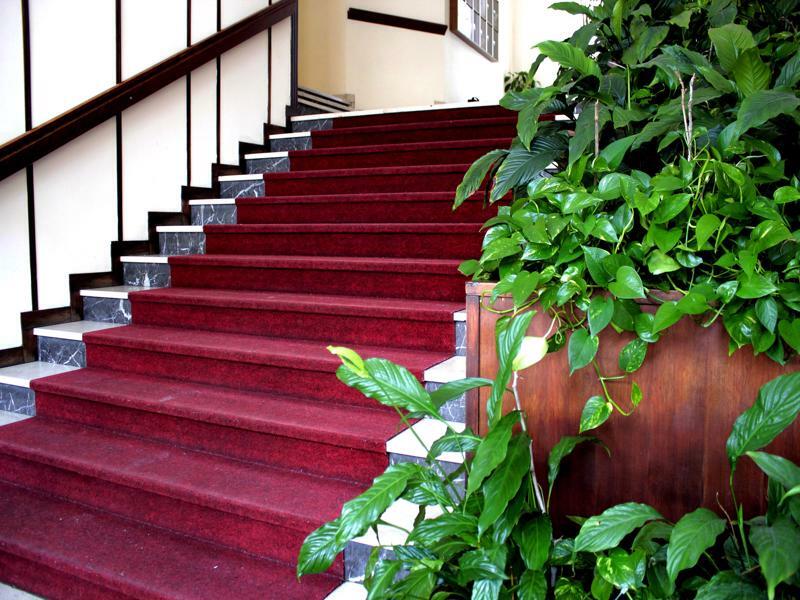 Casa Camilla City Падуя Екстер'єр фото